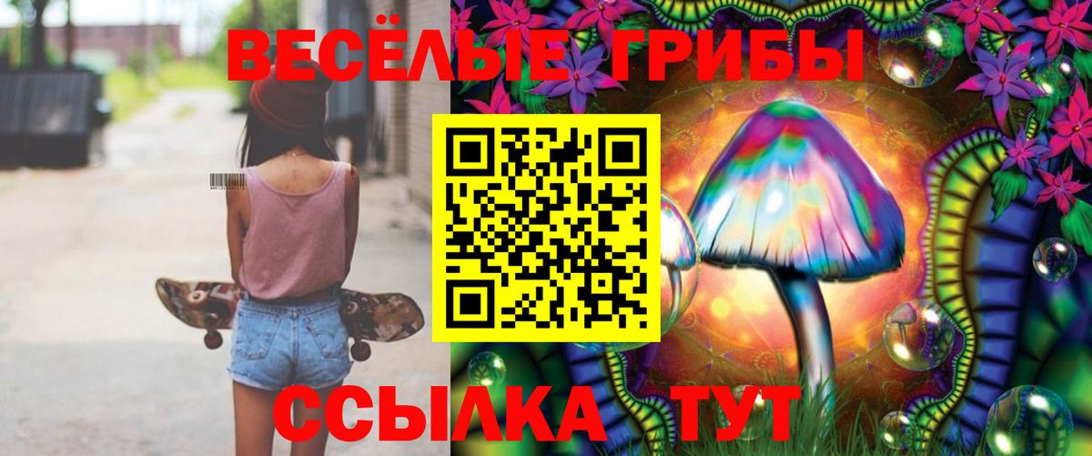 Псилоцибиновые грибы MAGIC MUSHROOMS  Вход с VPN  Белово 